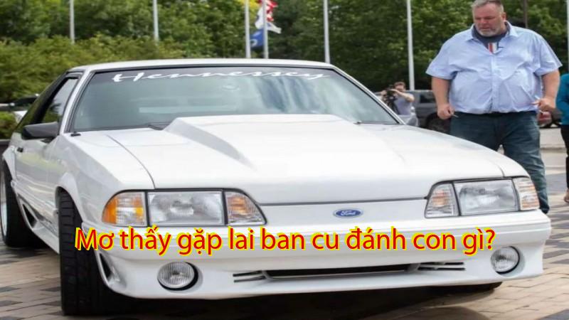 Mơ thấy gặp lai ban cu đánh con gì?