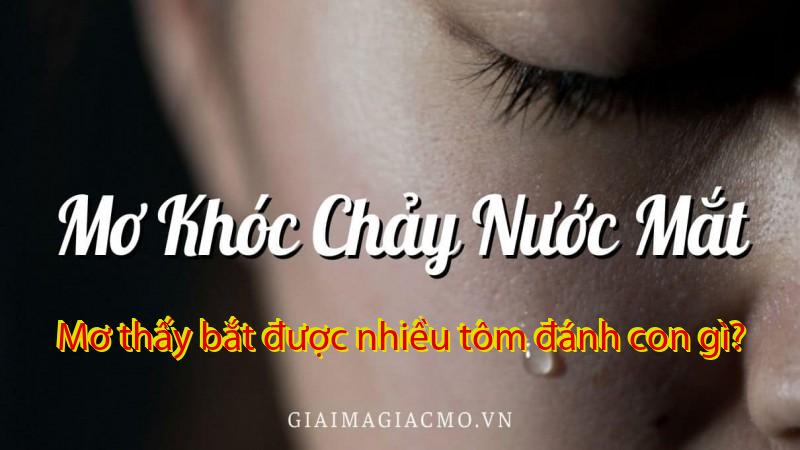 Mơ thấy bắt được nhiều tôm đánh con gì?