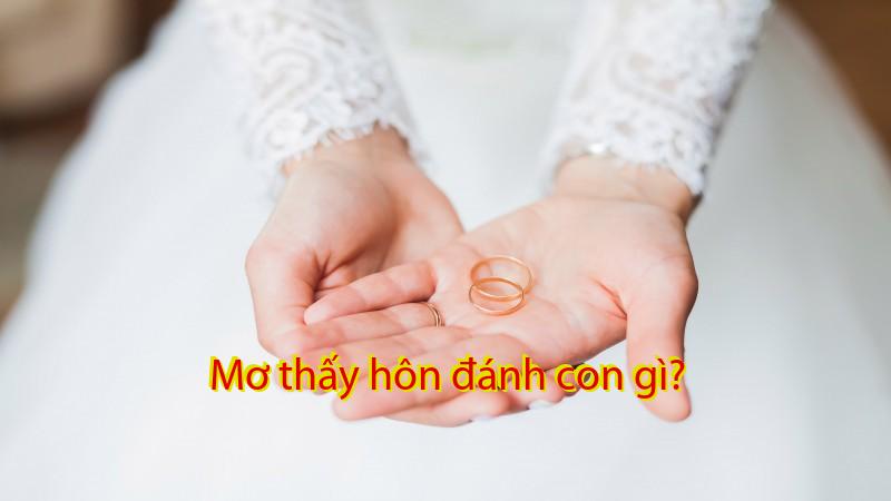 Mơ thấy hôn đánh con gì?