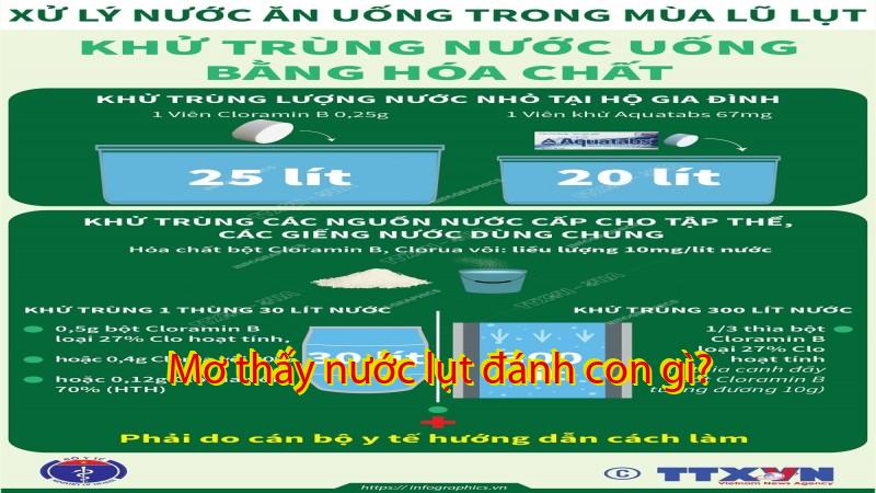 Mơ thấy nước lụt đánh con gì?