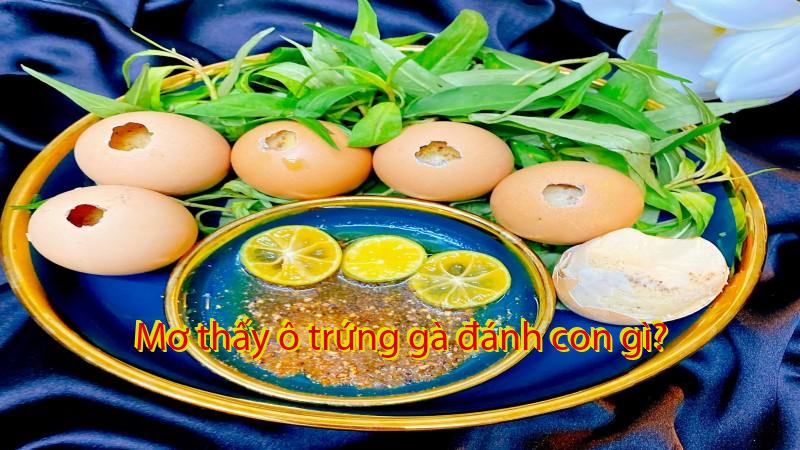 Mơ thấy ô trứng gà đánh con gì?