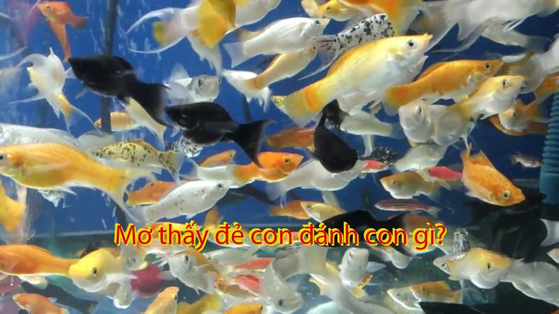Mơ thấy đẻ con đánh con gì?