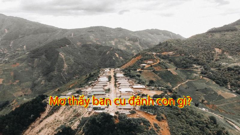 Mơ thấy ban cu đánh con gì?