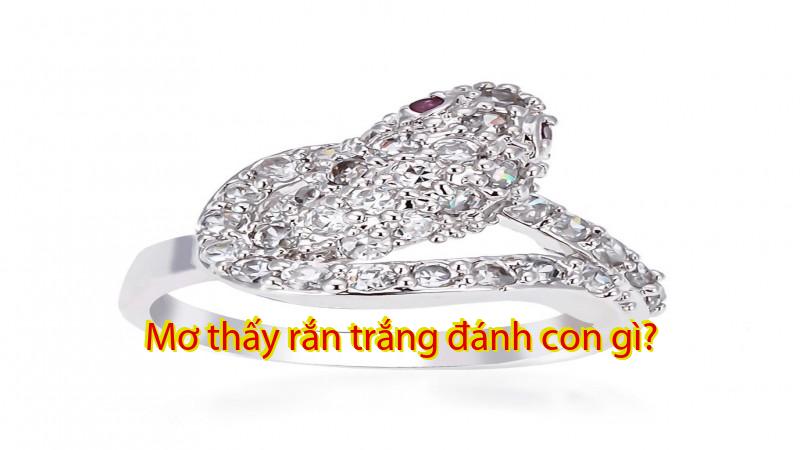 Mơ thấy rắn trắng đánh con gì?