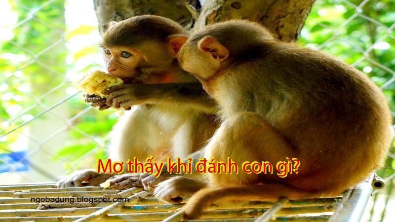 Mơ thấy khỉ đánh con gì?