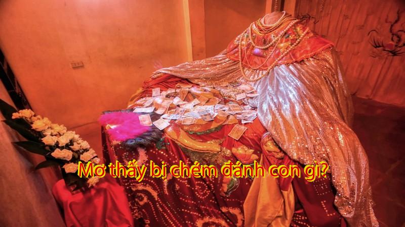 Mơ thấy bị chém đánh con gì?