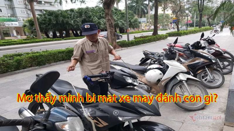 Mơ thấy minh bi mat xe may đánh con gì?