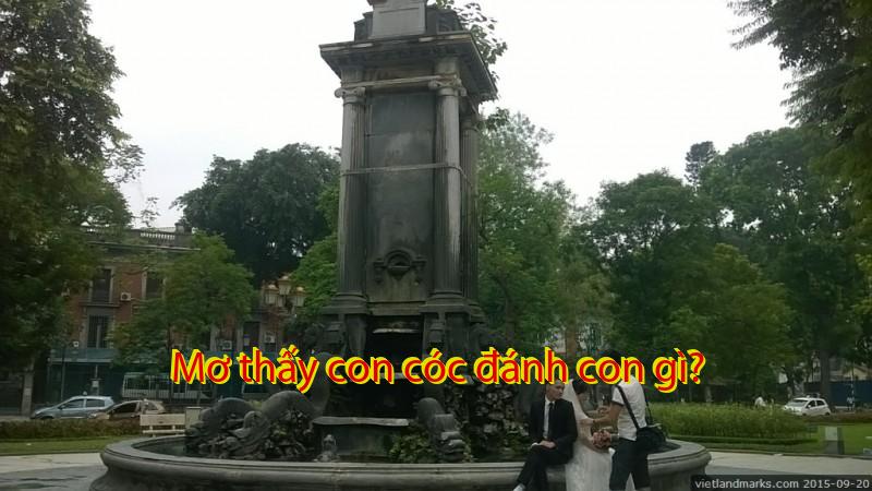 Mơ thấy con cóc đánh con gì?