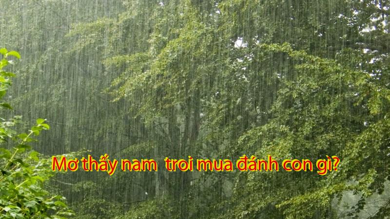 Mơ thấy nam  troi mua đánh con gì?