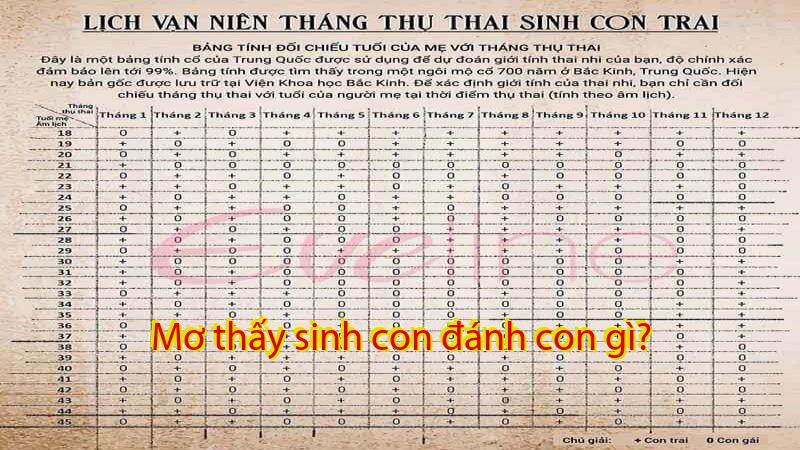 Mơ thấy sinh con đánh con gì?