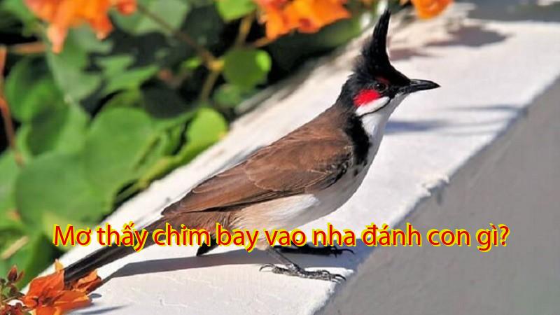 Mơ thấy chim bay vao nha đánh con gì?