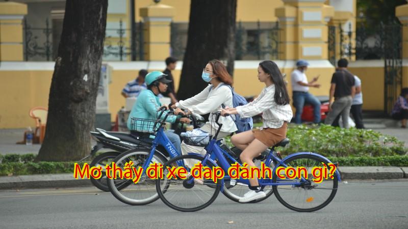 Mơ thấy đi xe đap đánh con gì?