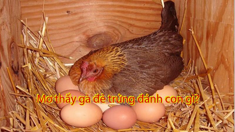 Mơ thấy gà đẻ trứng đánh con gì?
