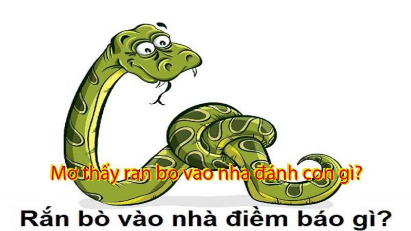 Mơ thấy ran bo vao nha đánh con gì?