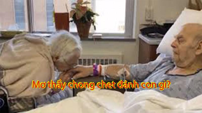 Mơ thấy chong chet đánh con gì?