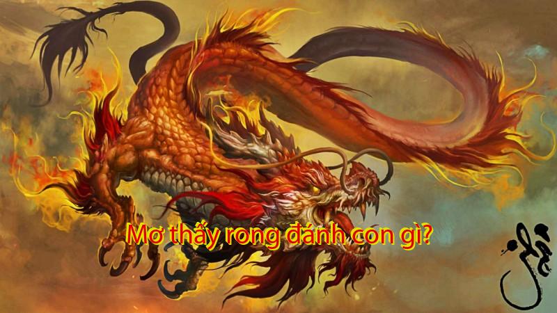 Mơ thấy rong đánh con gì?