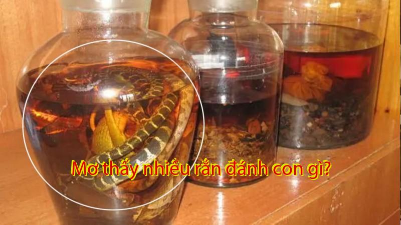 Mơ thấy nhiều rắn đánh con gì?
