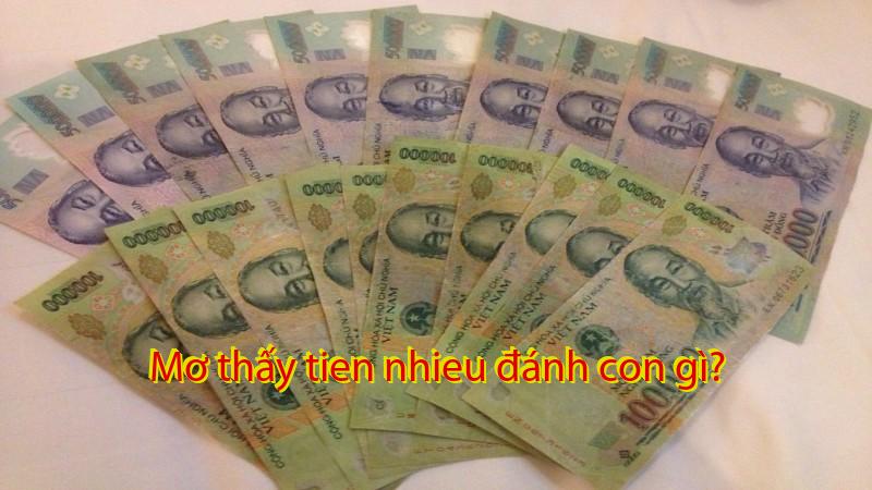 Mơ thấy tien nhieu đánh con gì?