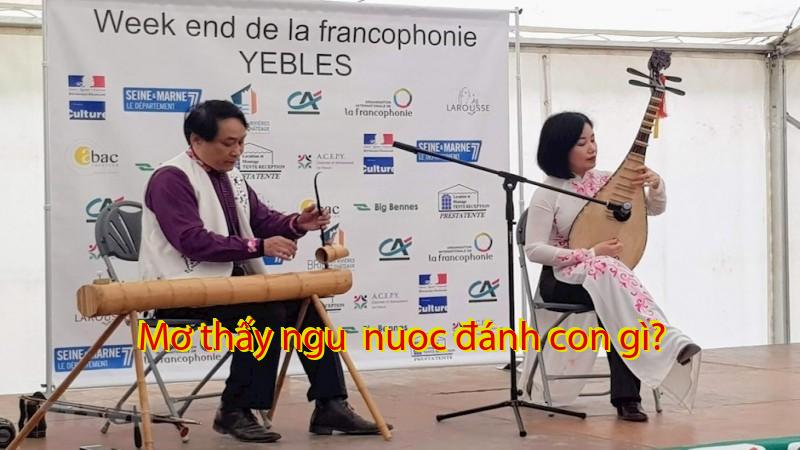 Mơ thấy ngu  nuoc đánh con gì?