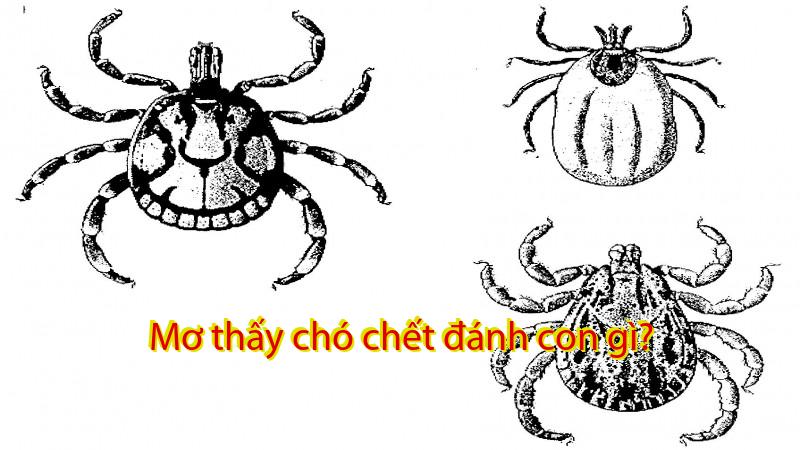 Mơ thấy chó chết đánh con gì?