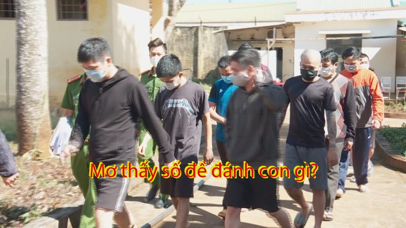 Mơ thấy số đề đánh con gì?