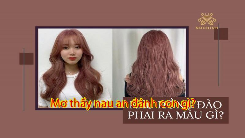 Mơ thấy nau an đánh con gì?