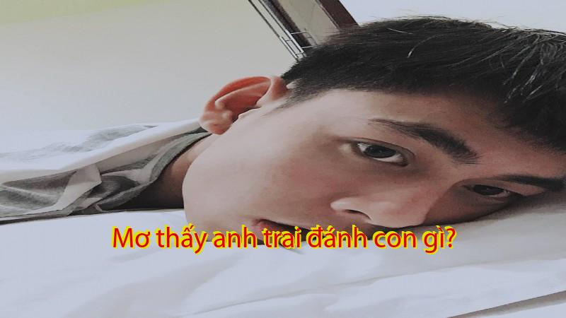 Mơ thấy anh trai đánh con gì?