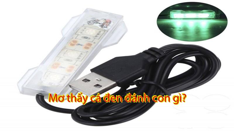 Mơ thấy cá đen đánh con gì?