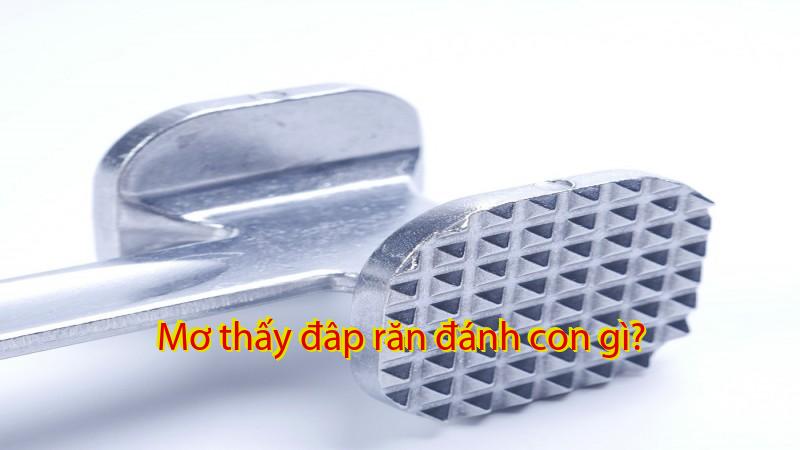 Mơ thấy đâp răn đánh con gì?