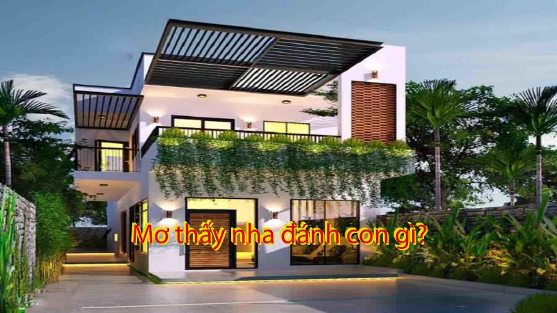 Mơ thấy nha đánh con gì?