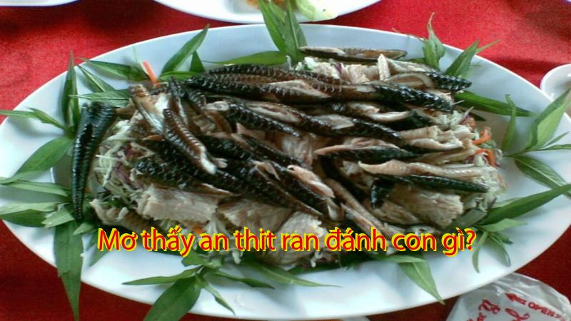 Mơ thấy an thit ran đánh con gì?