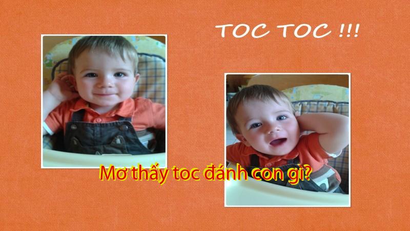 Mơ thấy toc đánh con gì?