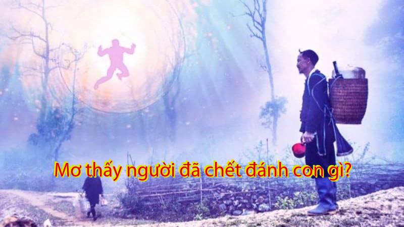 Mơ thấy người đã chết đánh con gì?