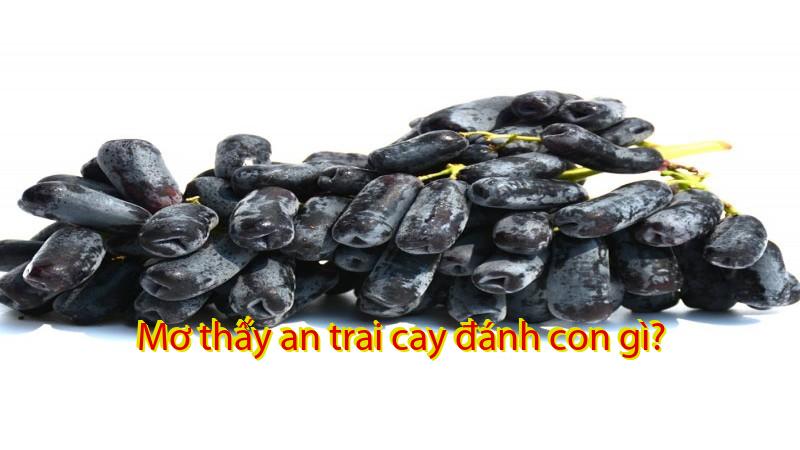 Mơ thấy an trai cay đánh con gì?