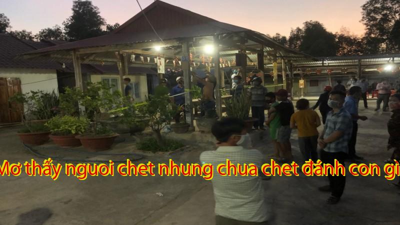 Mơ thấy nguoi chet nhung chua chet đánh con gì?