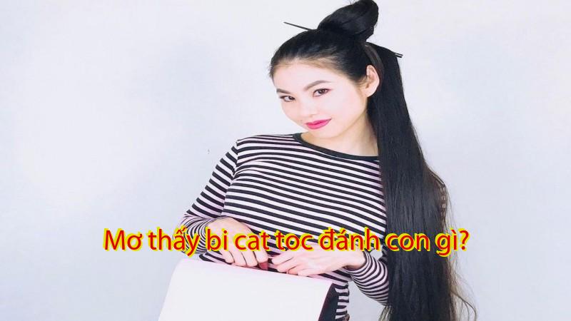 Mơ thấy bi cat toc đánh con gì?