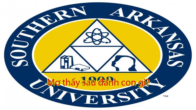 Mơ thấy sau đánh con gì?
