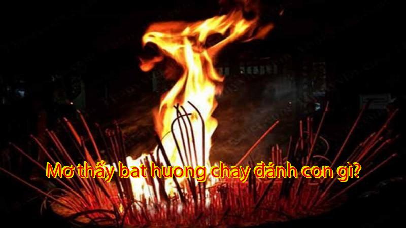 Mơ thấy bat huong chay đánh con gì?