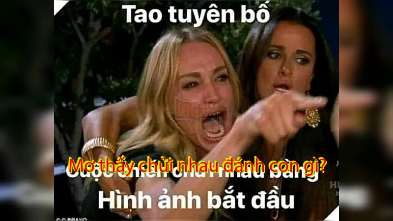 Mơ thấy chửi nhau đánh con gì?