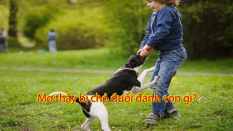 Mơ thấy bị chó đuổi đánh con gì?