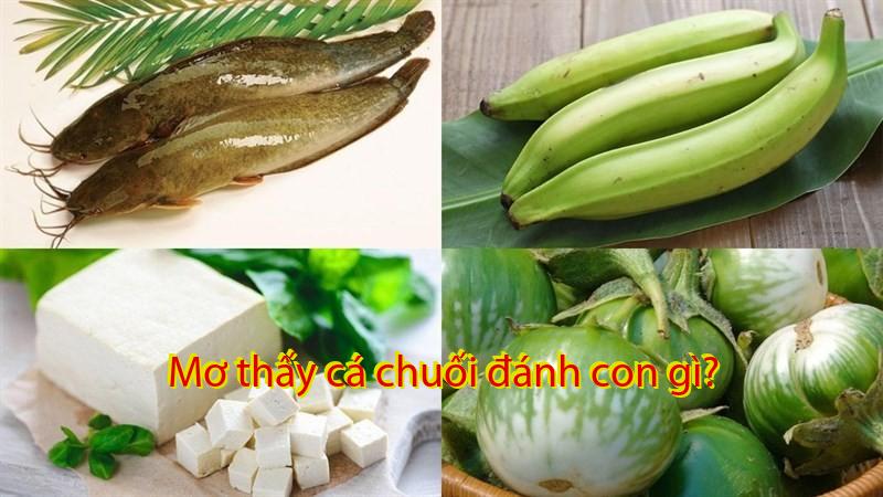Mơ thấy cá chuối đánh con gì?