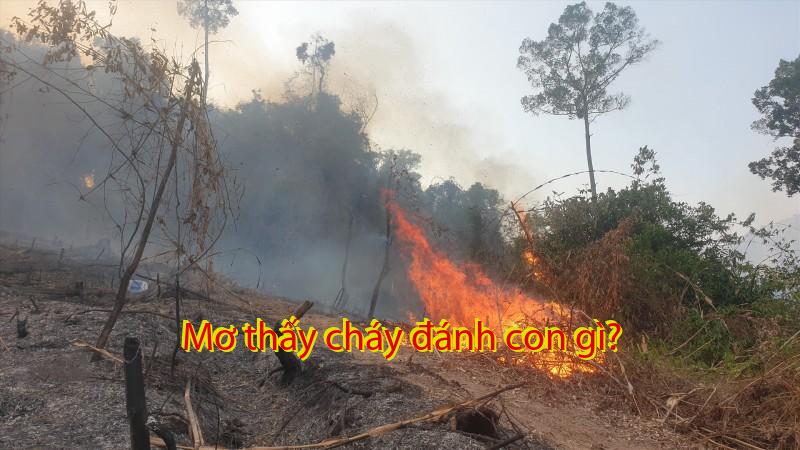 Mơ thấy cháy đánh con gì?