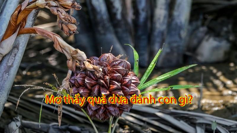 Mơ thấy quả dừa đánh con gì?