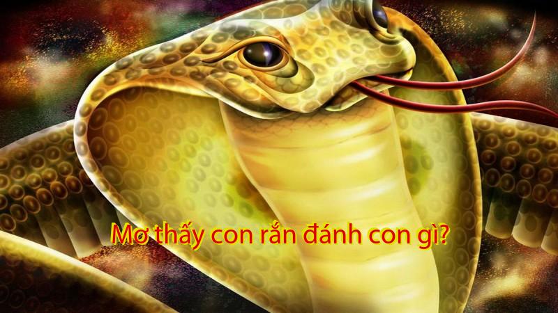 Mơ thấy con rắn đánh con gì?