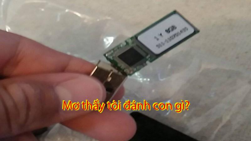 Mơ thấy tôi đánh con gì?