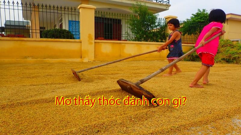 Mơ thấy thóc đánh con gì?