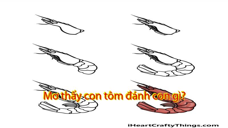 Mơ thấy con tôm đánh con gì?