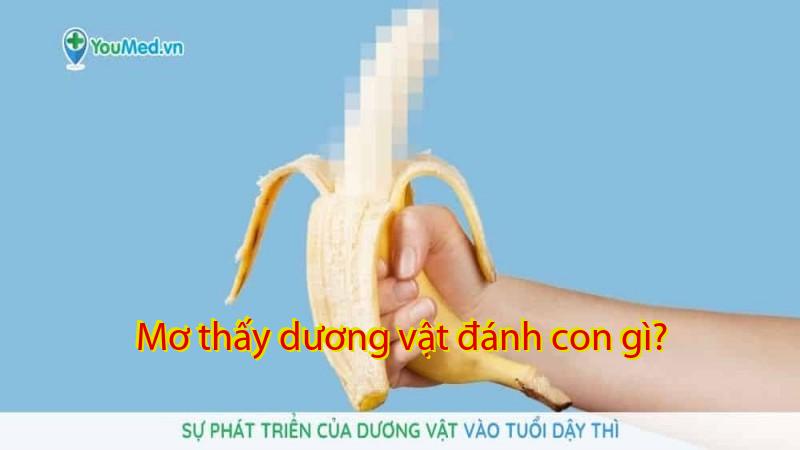 Mơ thấy dương vật đánh con gì?