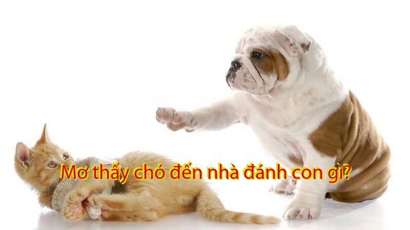 Mơ thấy chó đến nhà đánh con gì?