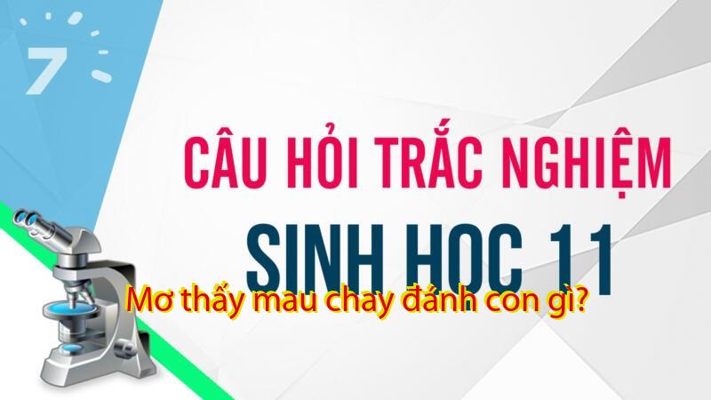 Mơ thấy mau chay đánh con gì?